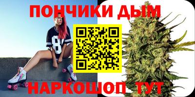 МДПВ Обь