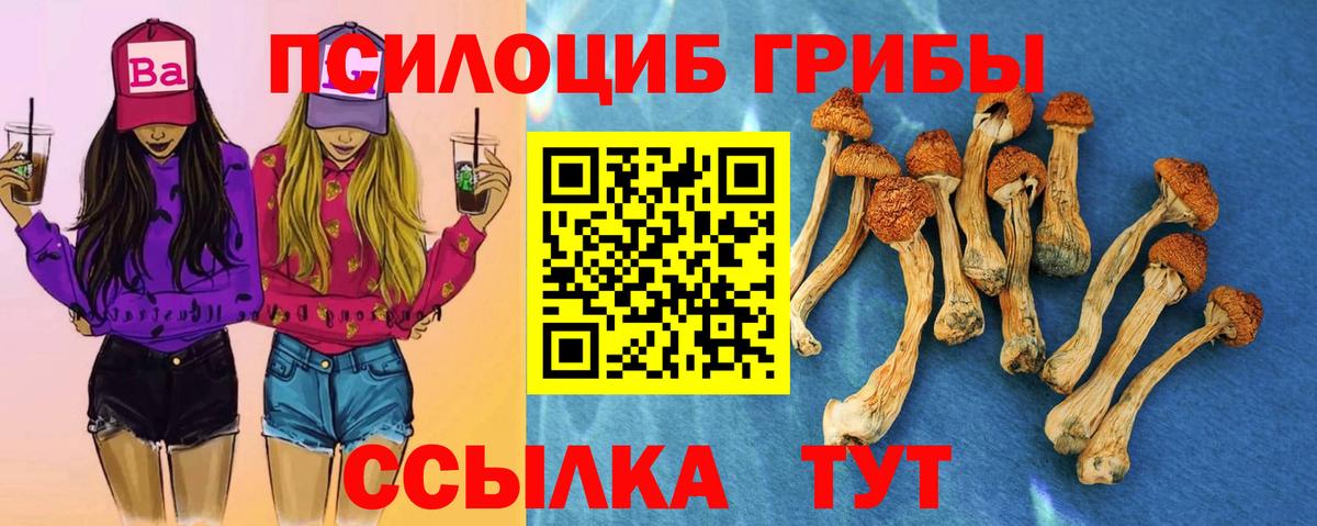 Галлюциногенные грибы MAGIC MUSHROOMS  Вход с VPN  Тимашёвск 